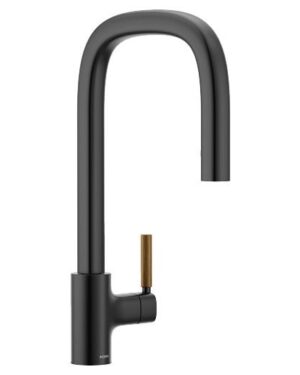 MONOCONTROL COCINA TENON DOBLE MANIA NEGRO-MOEN