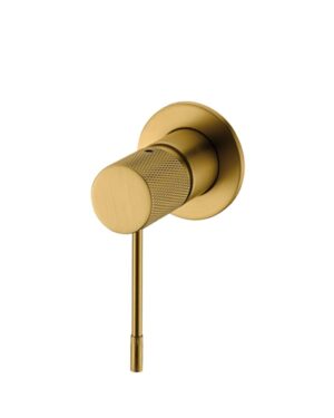 Monocontrol de ducha FS060 Monofunción Brushed Gold – Valen