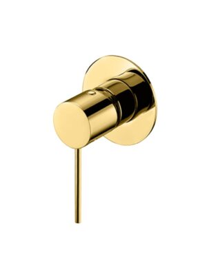 Monocontrol de ducha FS061 Monofunción Brushed Gold – Valen
