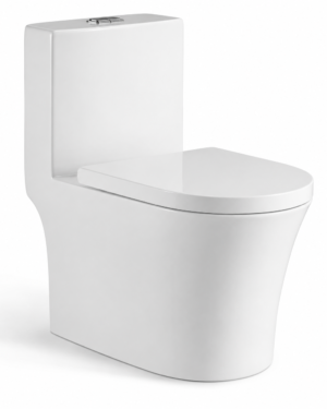 SANITARIO UNA PIEZA BLANCO  685*370*765