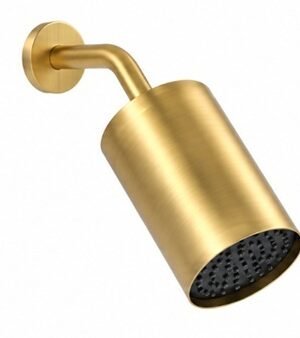REGADERA DE PARED LIGHT SERIES 2 BRUSHED GOLD