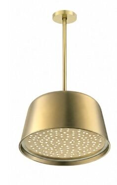REGADERA CON BRAZO LIGHT SERIES BRUSHED GOLD
